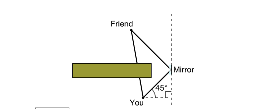 118_Your friends image in a small planar mirror.png
